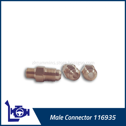 116935 Cummins Male Connector